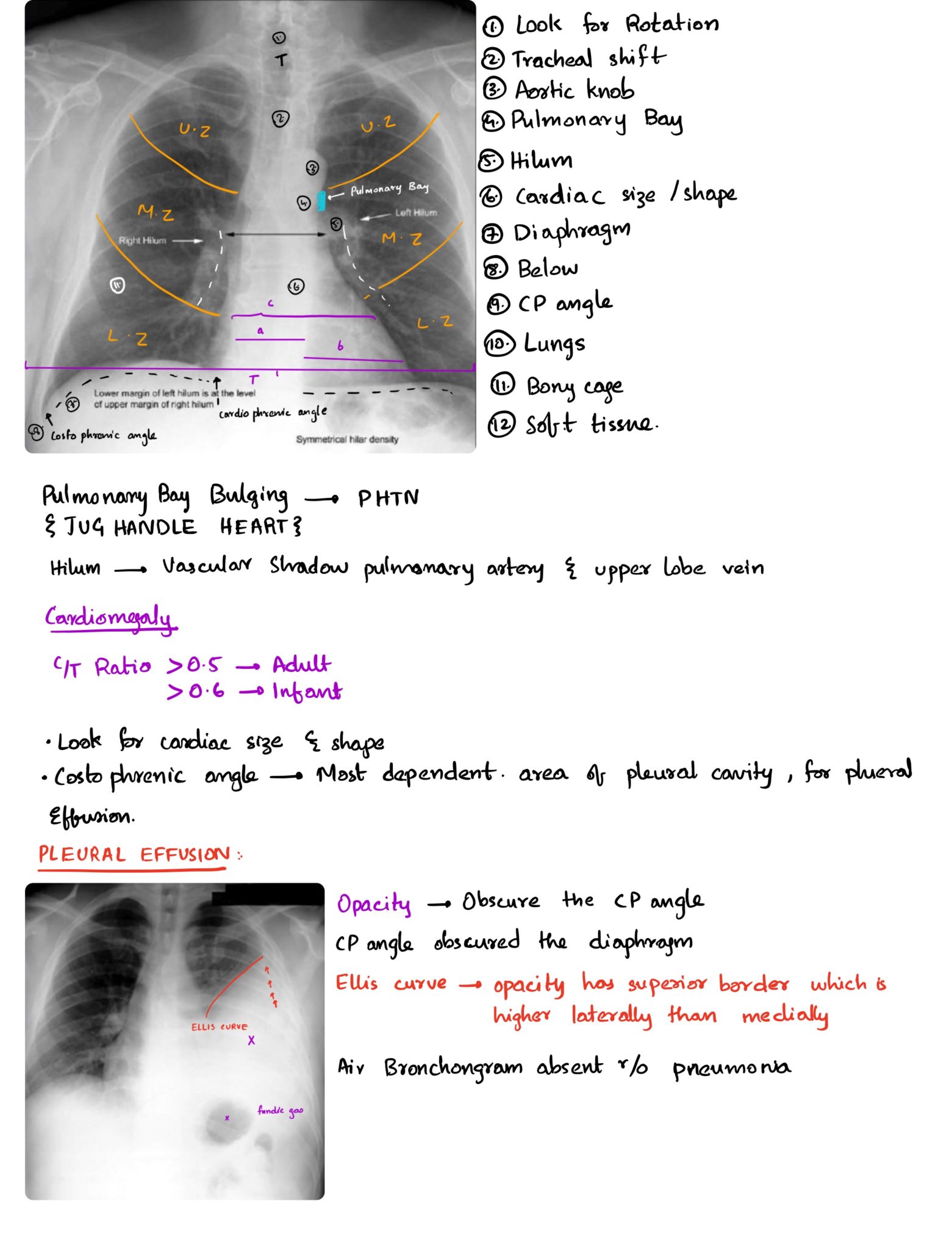Unveil The Secrets Of Elite Radiology Join Trident Health Systems Prestigious Training Program - 9e3plf8