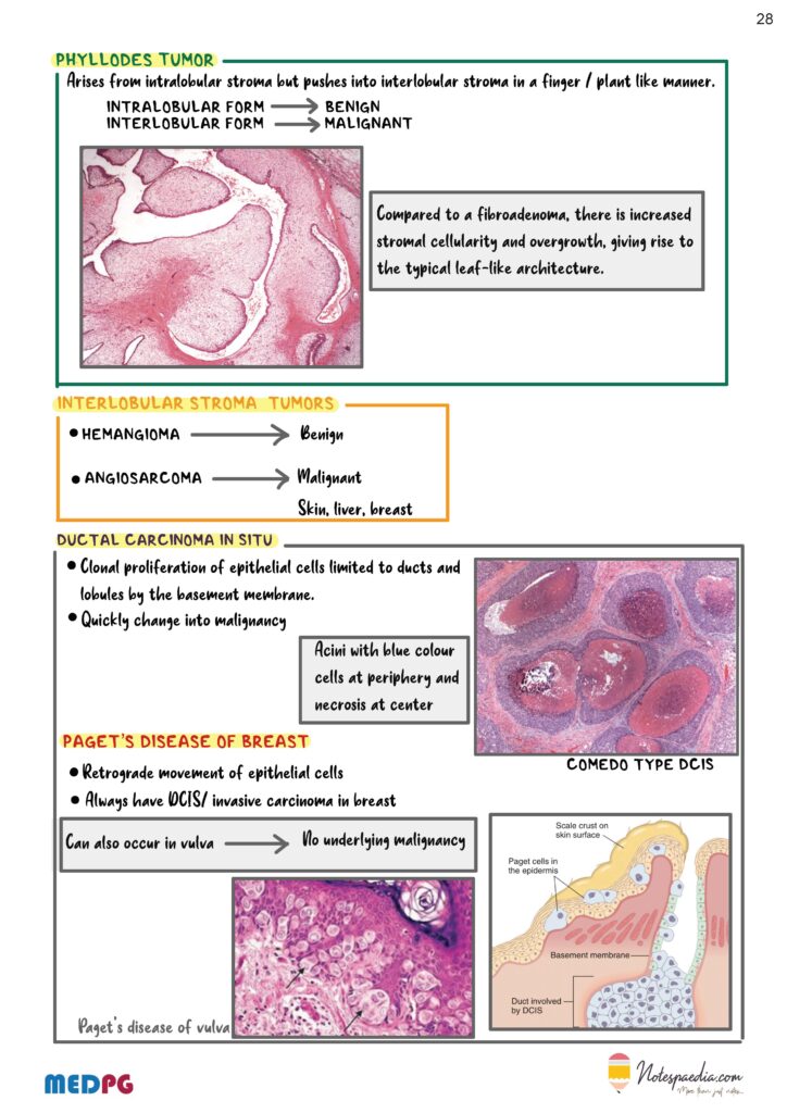 Pathology Capsule - Notespaedia