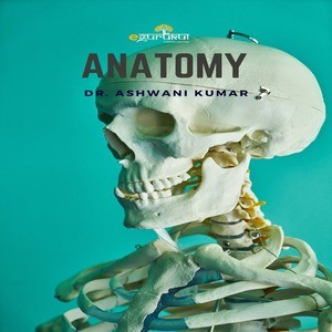 Anatomy Egurukul 3 0 Dr Ashwani Kumar Notespaedia