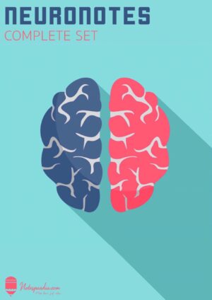 Neuronotes - Complete Set