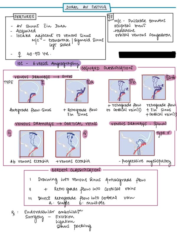 Neuronotes - Complete Set - Notespaedia