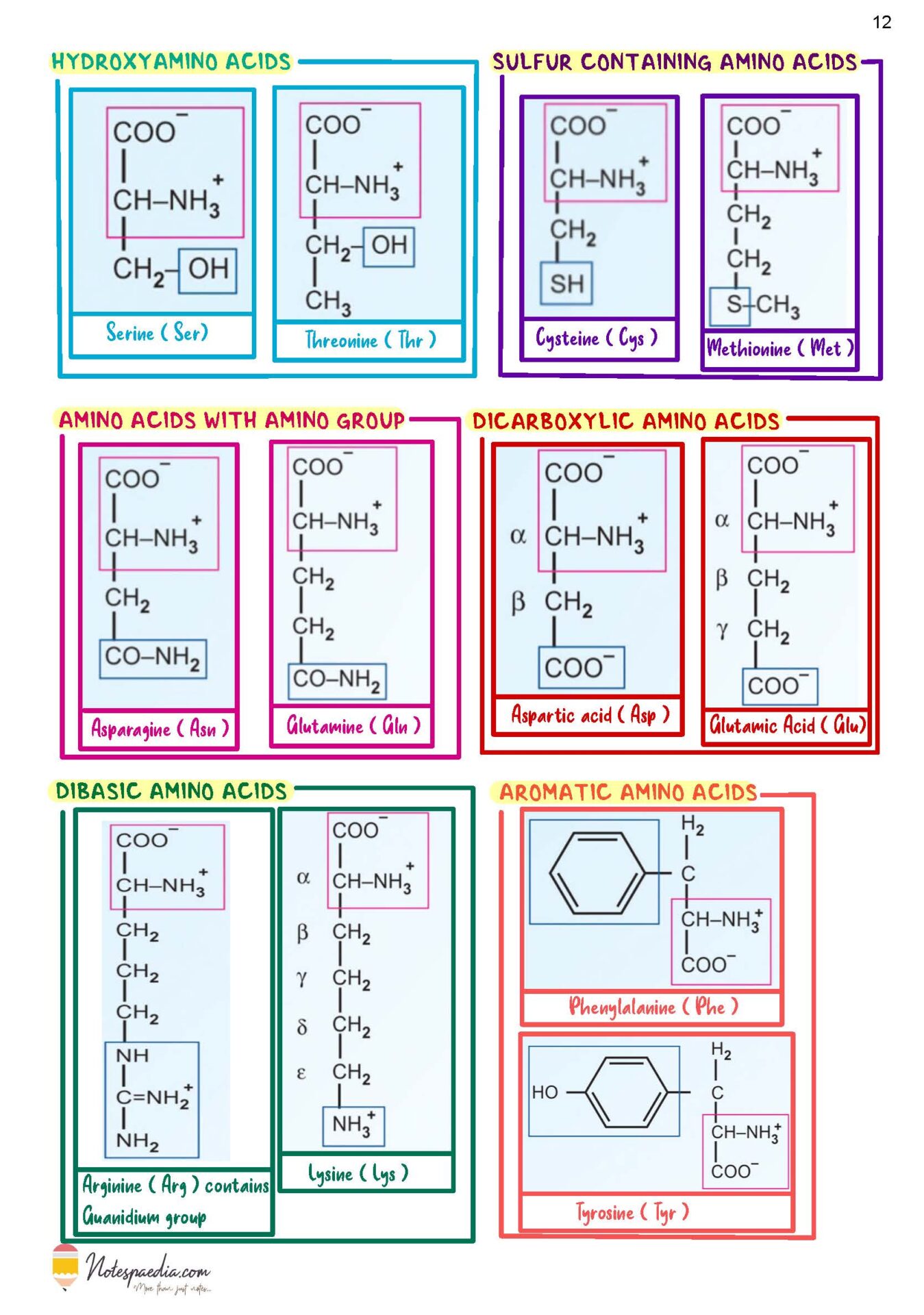Biochemistry Image Bank - Image 7