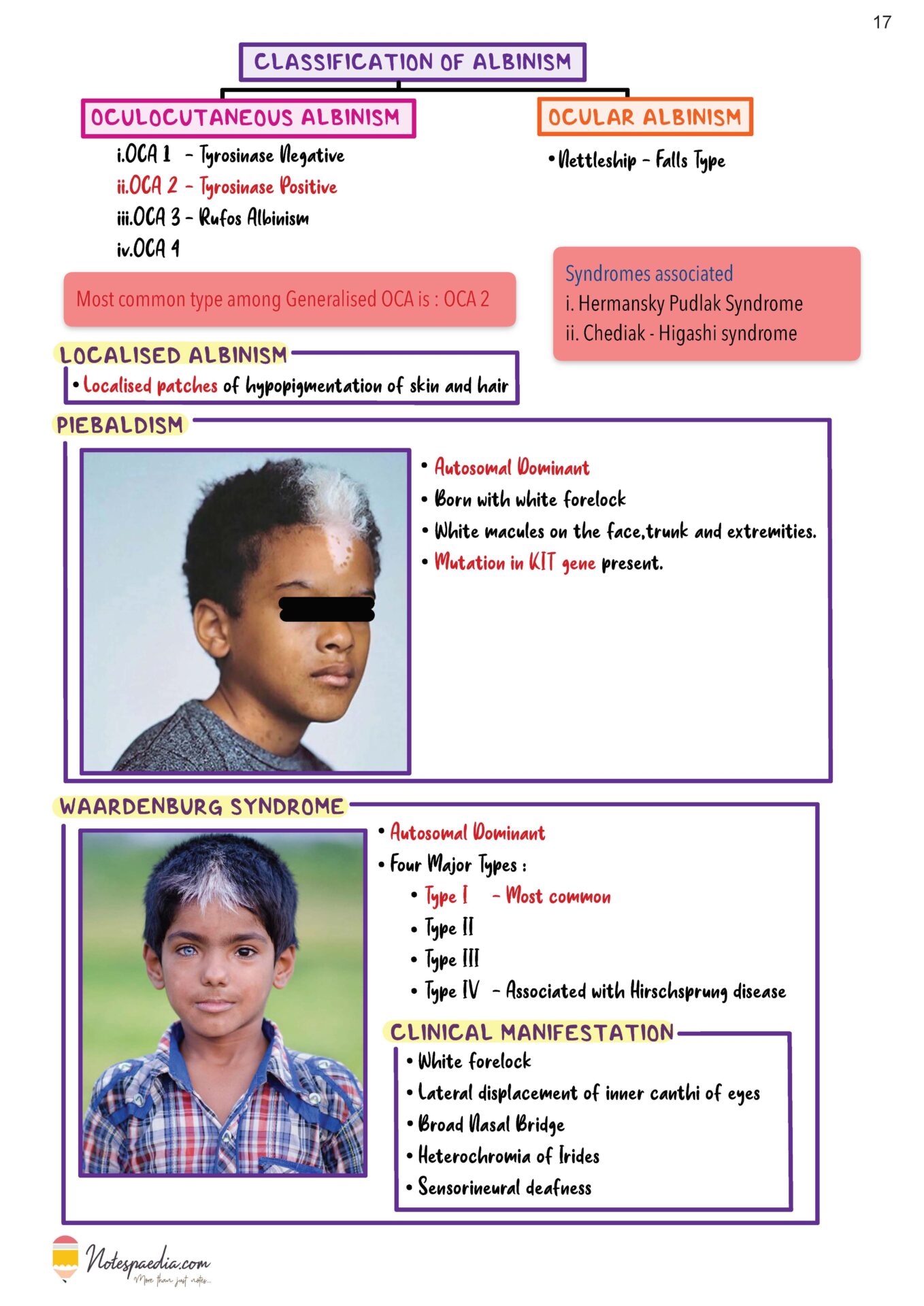 Biochemistry Image Bank - Image 6