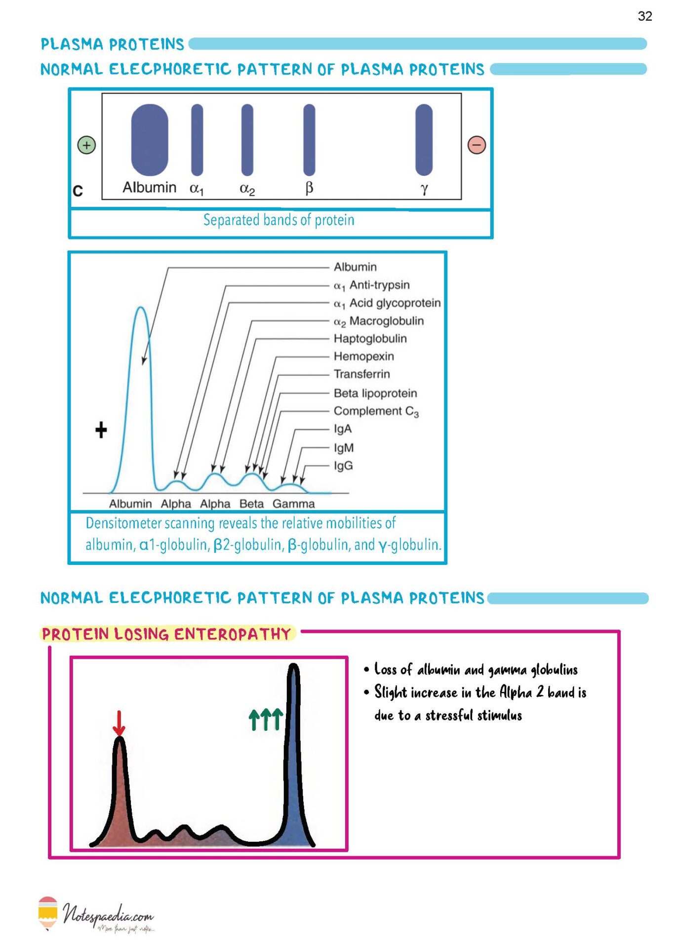 Biochemistry Image Bank - Image 5