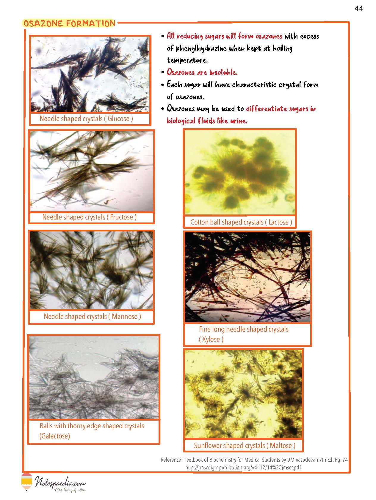 Biochemistry Image Bank - Image 3
