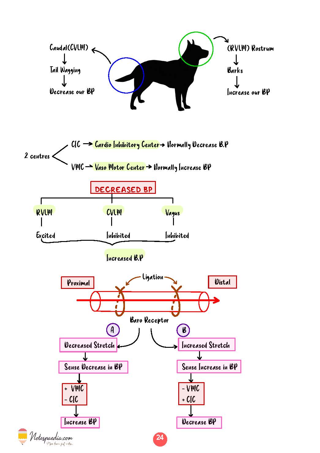 Clinical Physiology - Dr. Naveen Porwal - Image 7