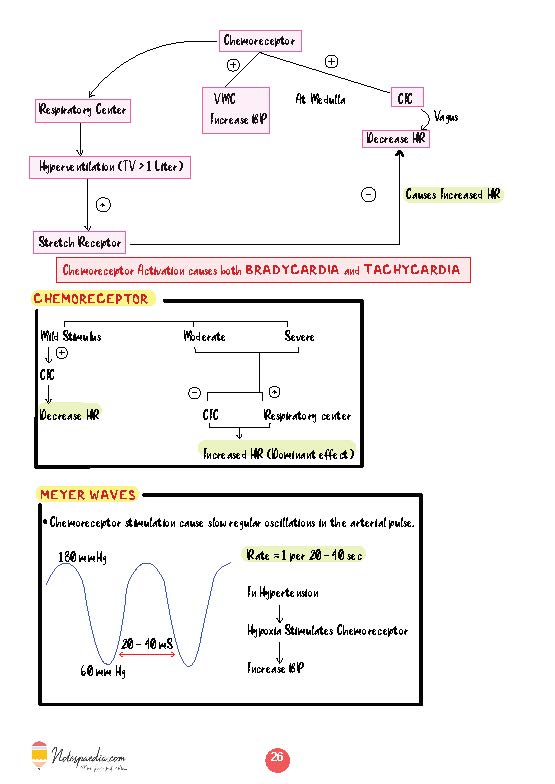 Clinical Physiology - Dr. Naveen Porwal - Image 6