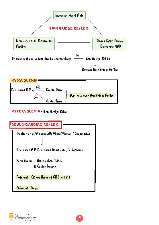 Clinical Physiology - Dr. Naveen Porwal - Image 5