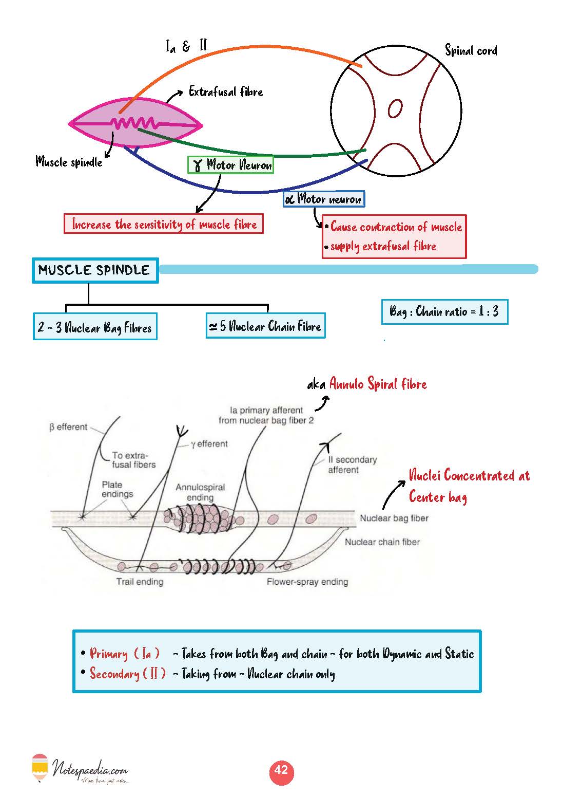 Clinical Physiology - Dr. Naveen Porwal - Image 3