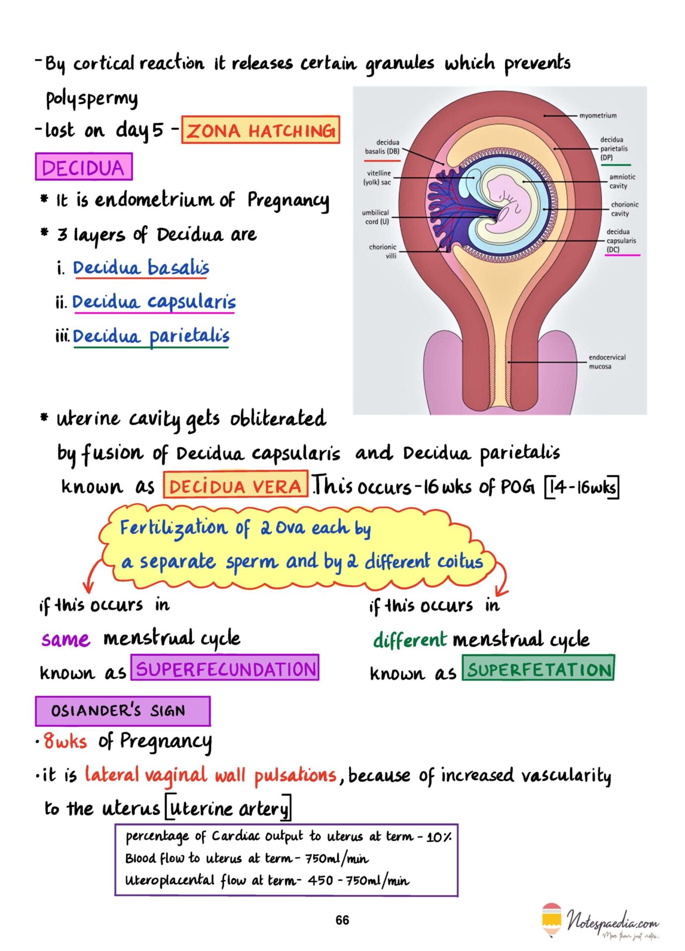 Elite OBS/GYN - Image 5