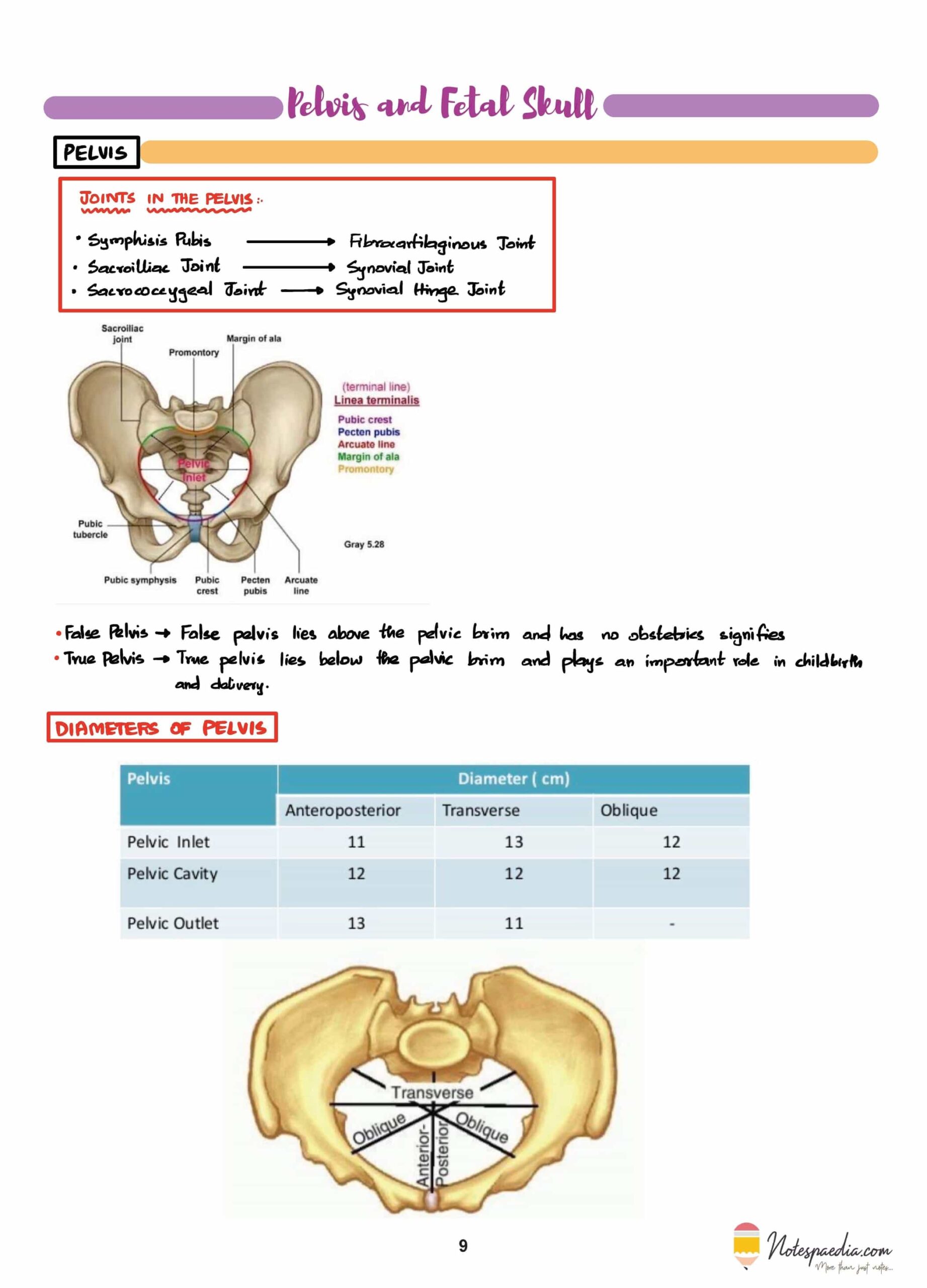 Elite OBS/GYN - Image 2