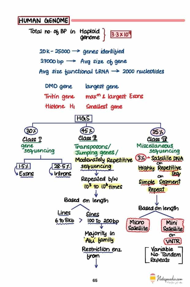 Elite Biochemistry - Image 4