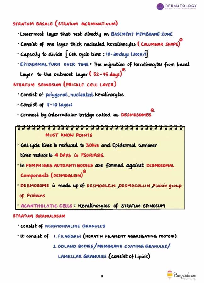Dermatology High-Yield – Dr. Chesta Agrawal - Image 5