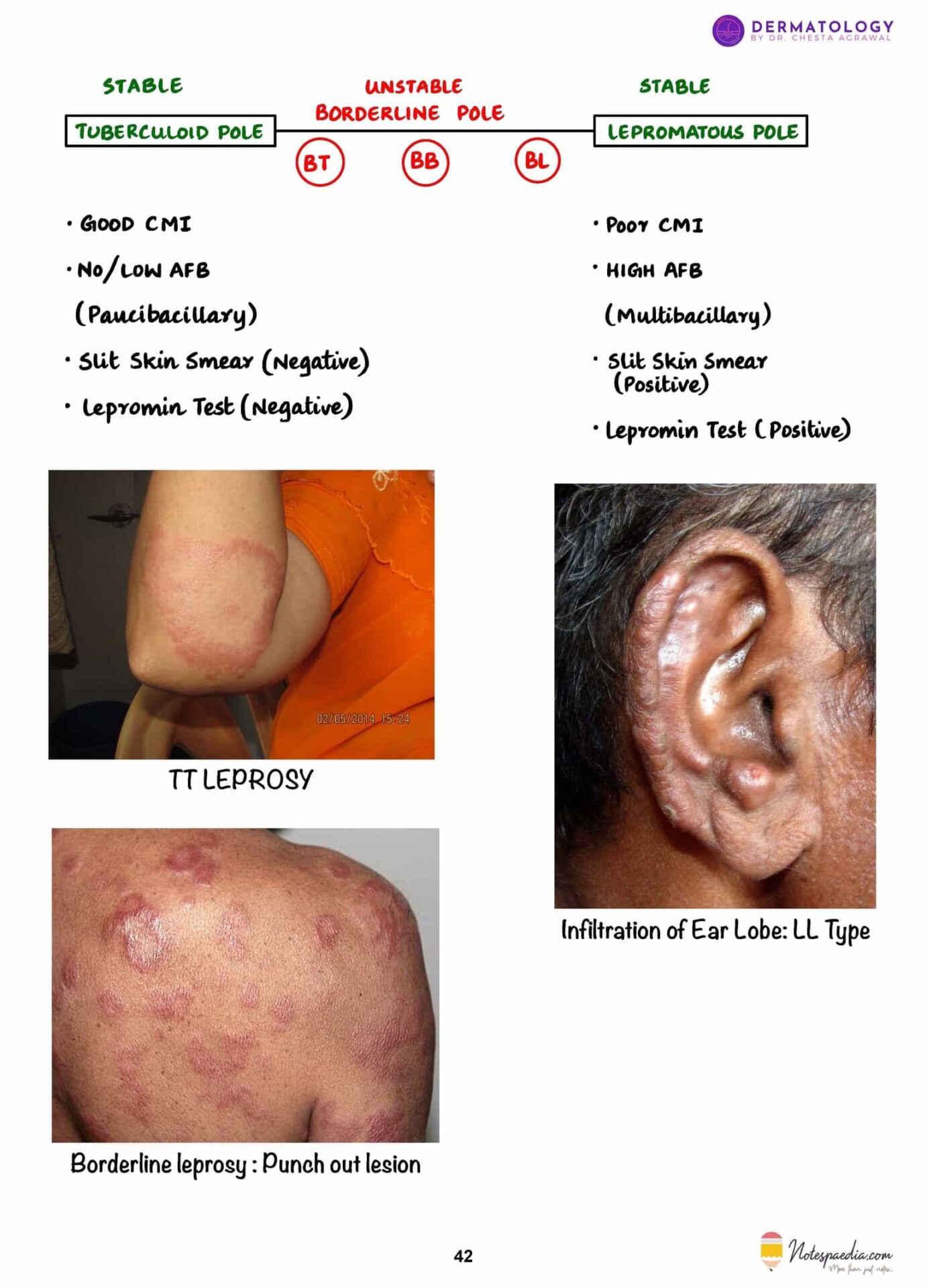 Dermatology High-Yield – Dr. Chesta Agrawal - Image 2