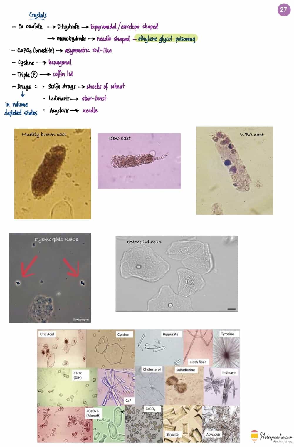 Dr. Dilip MMS - NEPHROLOGY + RHEUMATOLOGY - Image 9