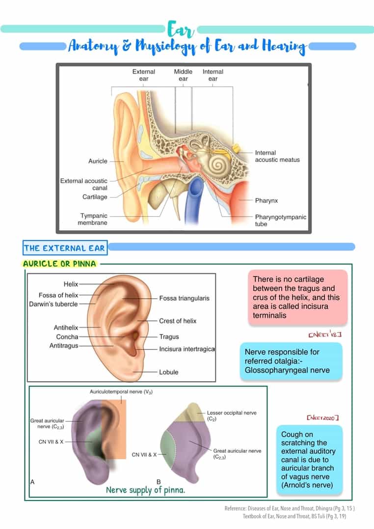 ENT Image Bank - Image 7