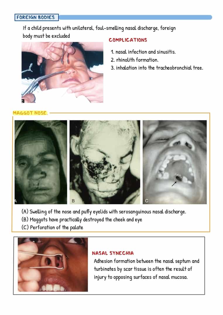 ENT Image Bank - Image 4