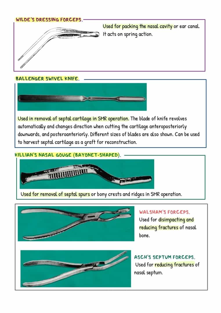 ENT Image Bank - Image 2