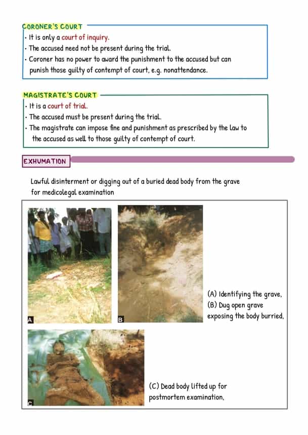 FMT Image Bank - Image 4