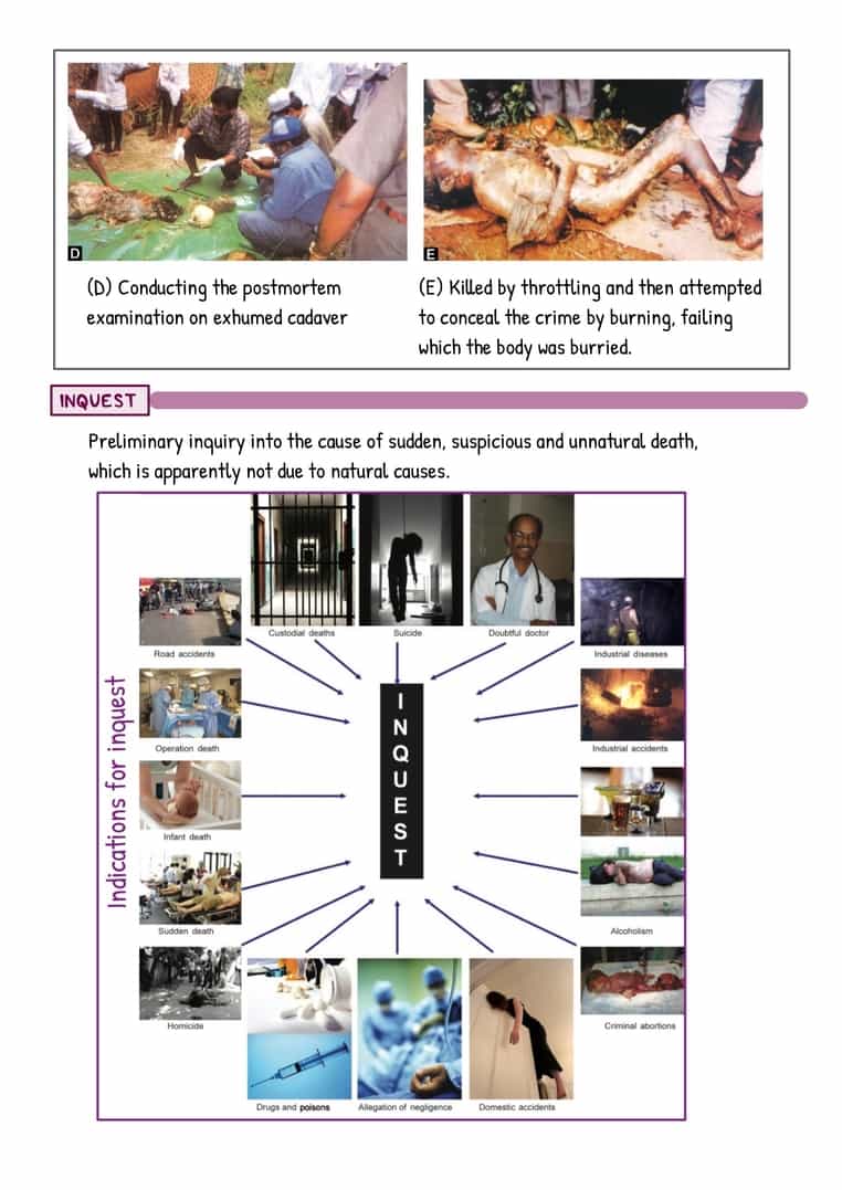 FMT Image Bank - Image 3