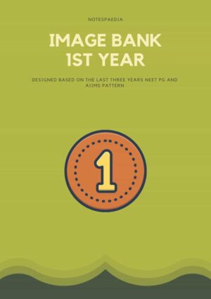 Image Bank 1st Year