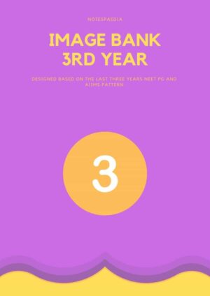 Image Bank 3rd Year