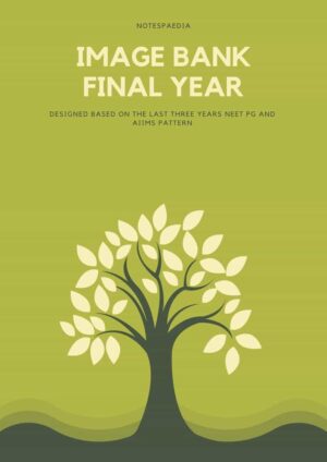 Image Bank Final Year