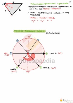 ECG Basics - Notespaedia