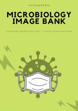 Microbiology Image Bank